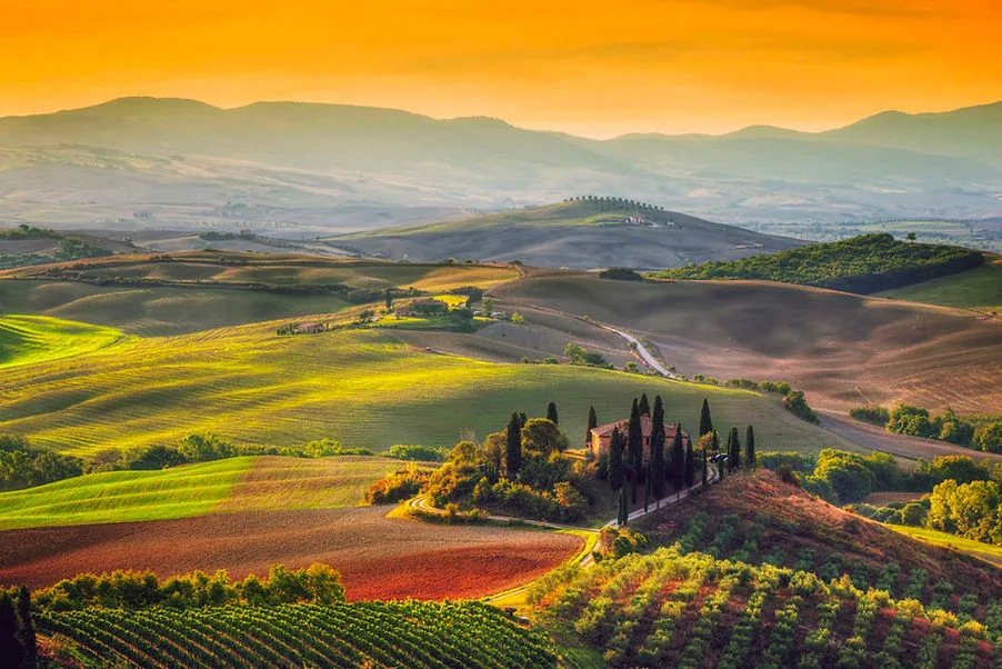 Degustazione – I Chianti Classico e il loro rapporto col terroir