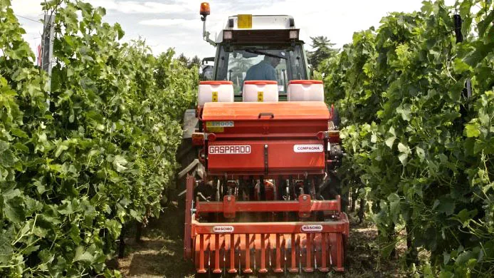 Accesso al credito e piani di investimento, indagine Fieragricola Mantovani: miglioramento, bene intesa Mipaaf-Banca Intesa