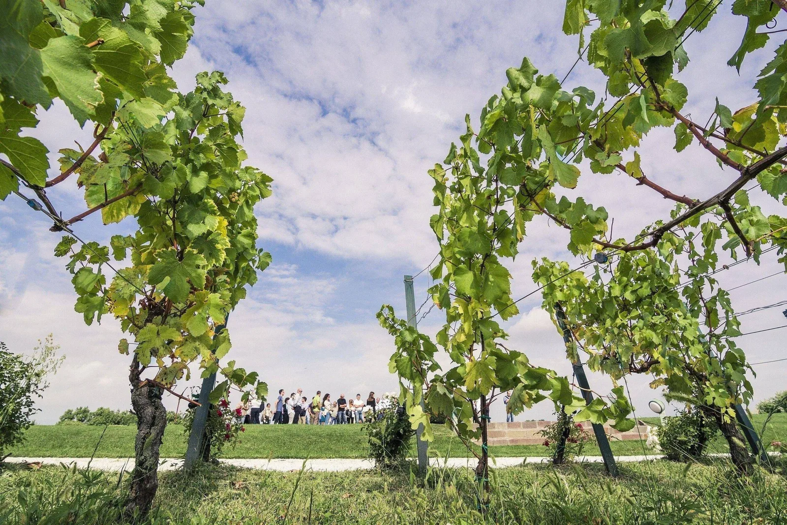 Franciacorta Summer Festival on the road