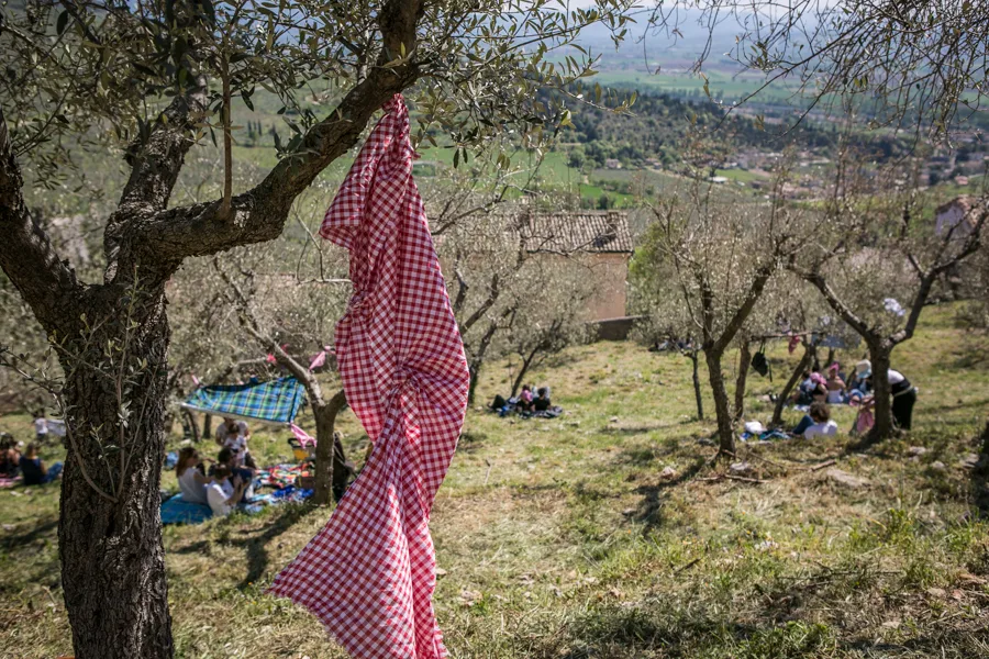 “Pic & Nic a Trevi. Arte, musica e merende tra gli olivi”