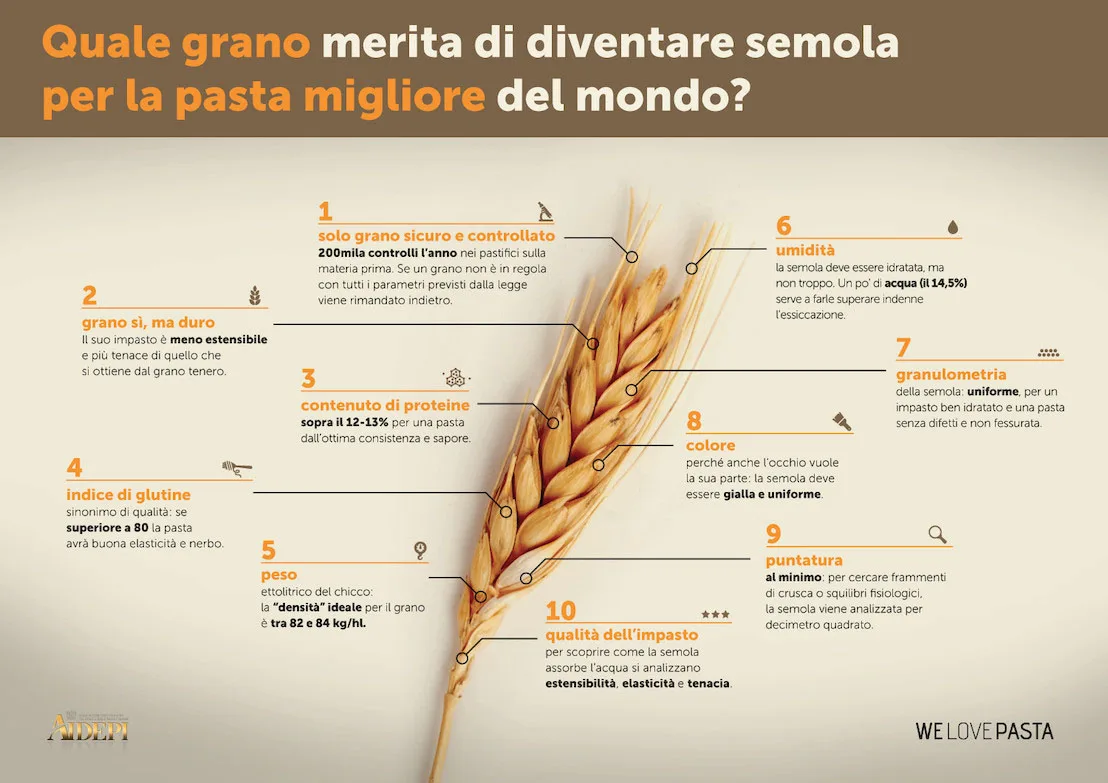 AIDEPI: ecco l’identikit del grano buono per fare la migliore pasta al mondo