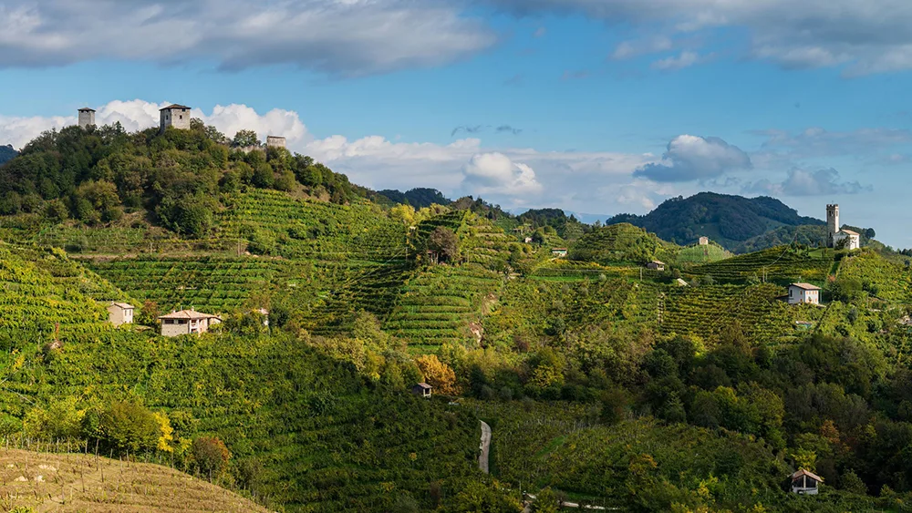 1966 – 2016: 50 anni della Strada del Prosecco Superiore