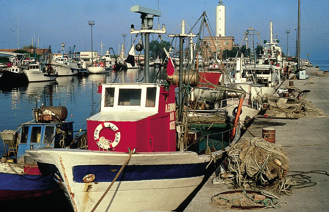 Emilia-Romagna è Un Mare di Sapori