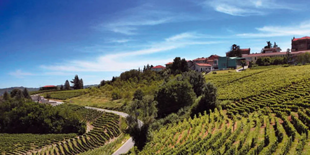 Moscato D’Asti. Un vino ideale, artigiano, unico.