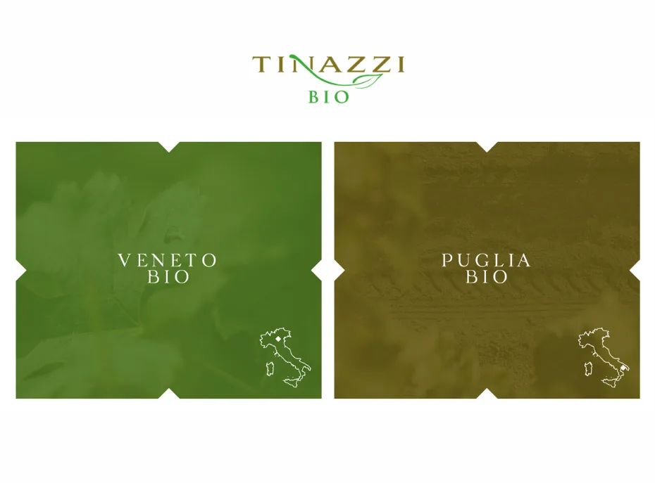 Una linea di vini biologici dedicata all’export: la svolta green di Tinazzi