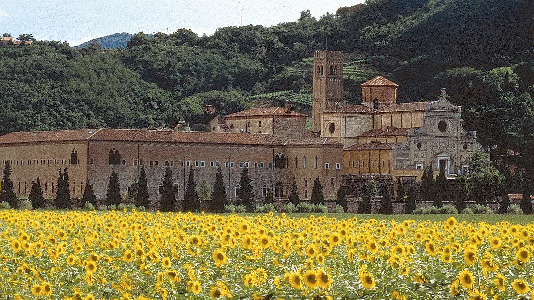 Con le eccellenze vinicole alla scoperta delle più belle architetture venete