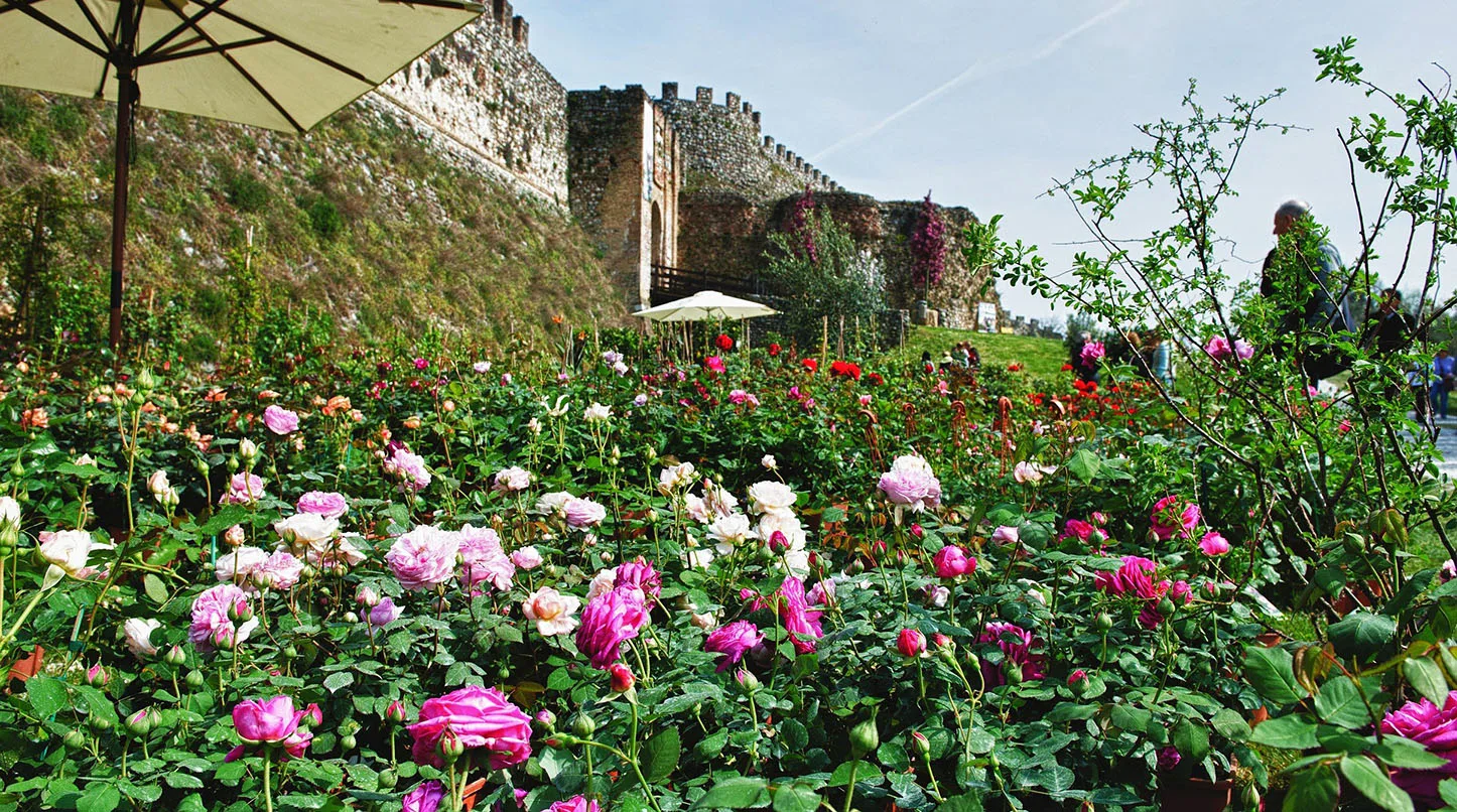 Fiori nella Rocca: 6-7-8 aprile 2018 alla Rocca Visconteo-Veneta di Lonato del Garda