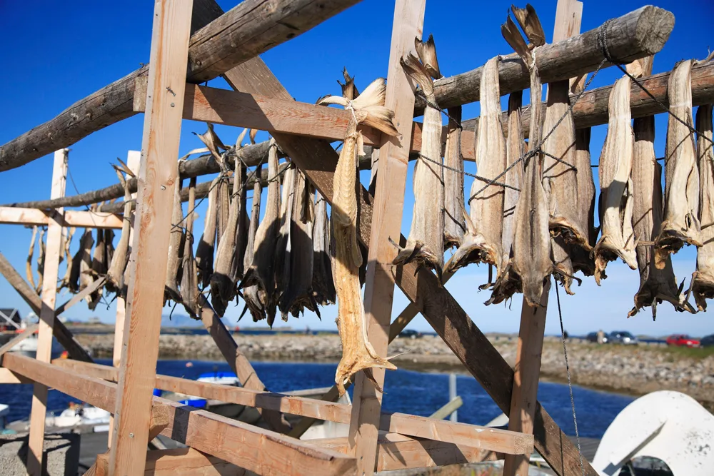 Festa del bacalà 2023 a Sandrigo (dal 14 al 25 settembre 2023)