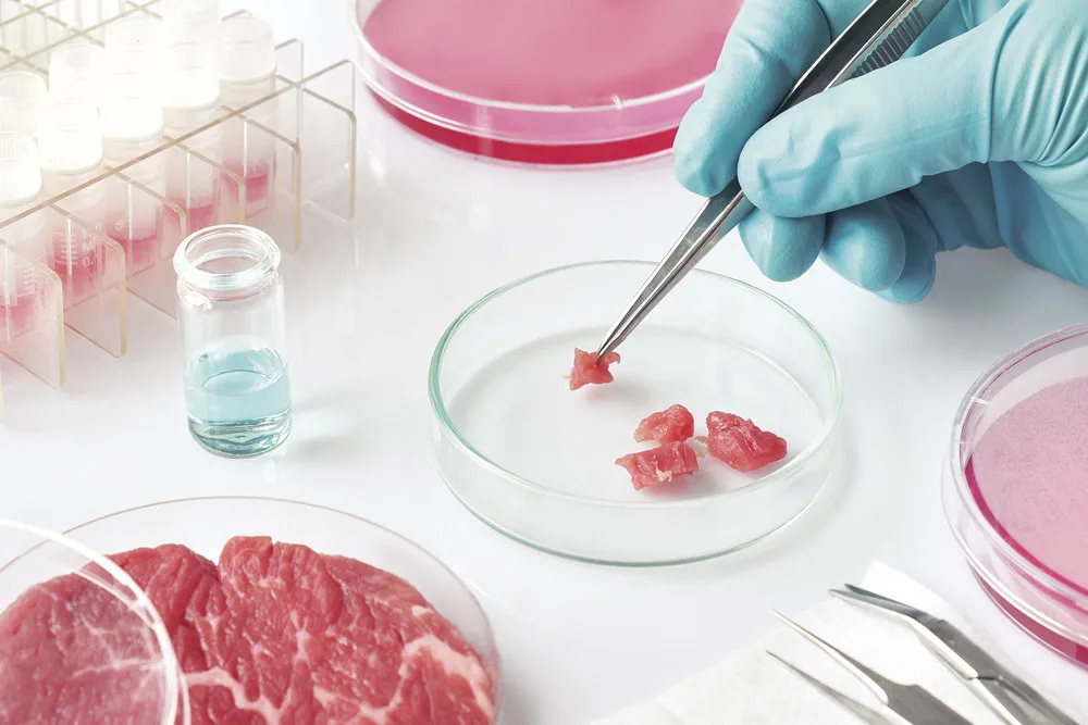 Carne coltivata