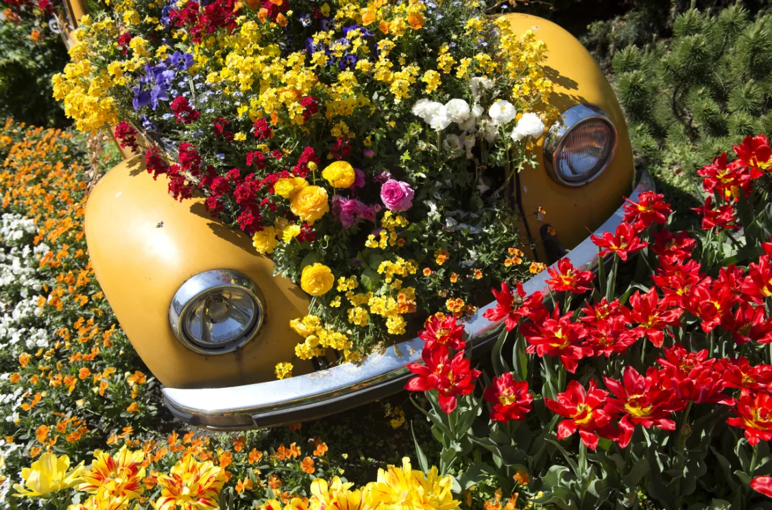 Festa della Fioritura: Lana e dintorni festeggiano l’arrivo della primavera