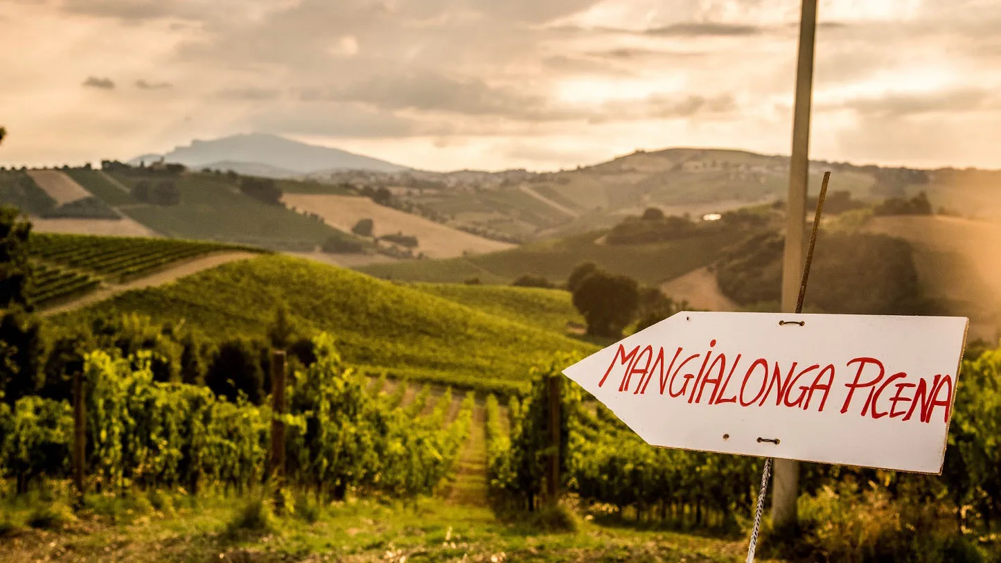 Mangialonga Picena 2016