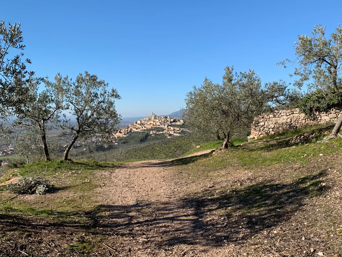 Il 14 e 15 maggio 2022 torna “Pic & Nic a Trevi. Arte, musica e merende tra gli ulivi”
