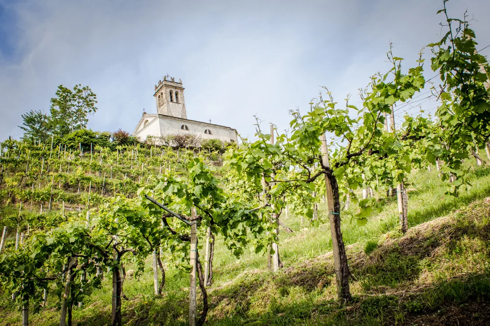 Primavera del Prosecco Superiore 2022 a Conegliano e Valdobbiadene