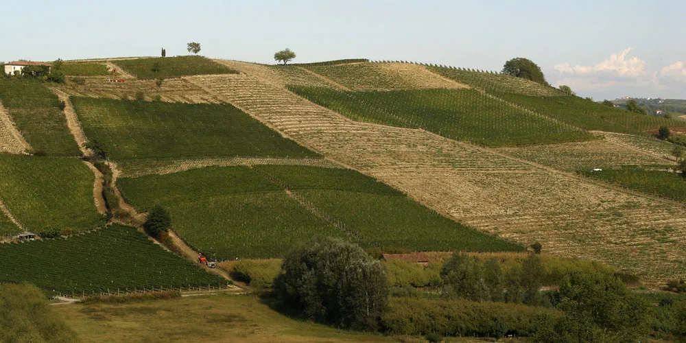 Tu chiamale, se vuoi, bollicine