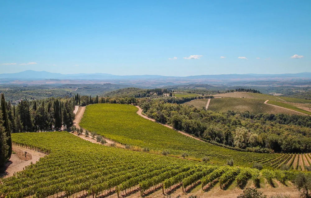 Degustazione - I Chianti Classico e il loro rapporto col terroir