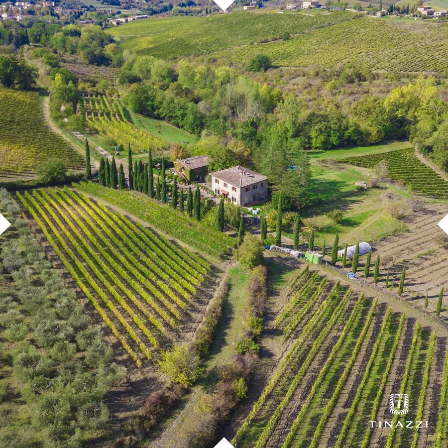 Tinazzi acquista Pian del Gallo in Chianti