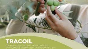 Tracoil Conference