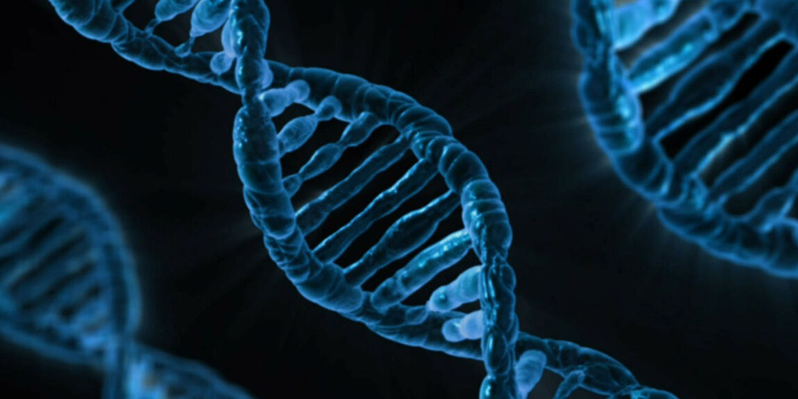 Intolleranze alimentari