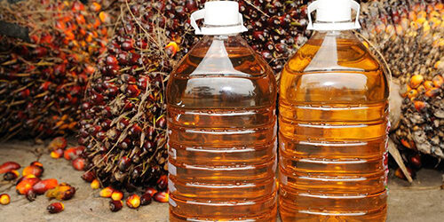 olio di palma