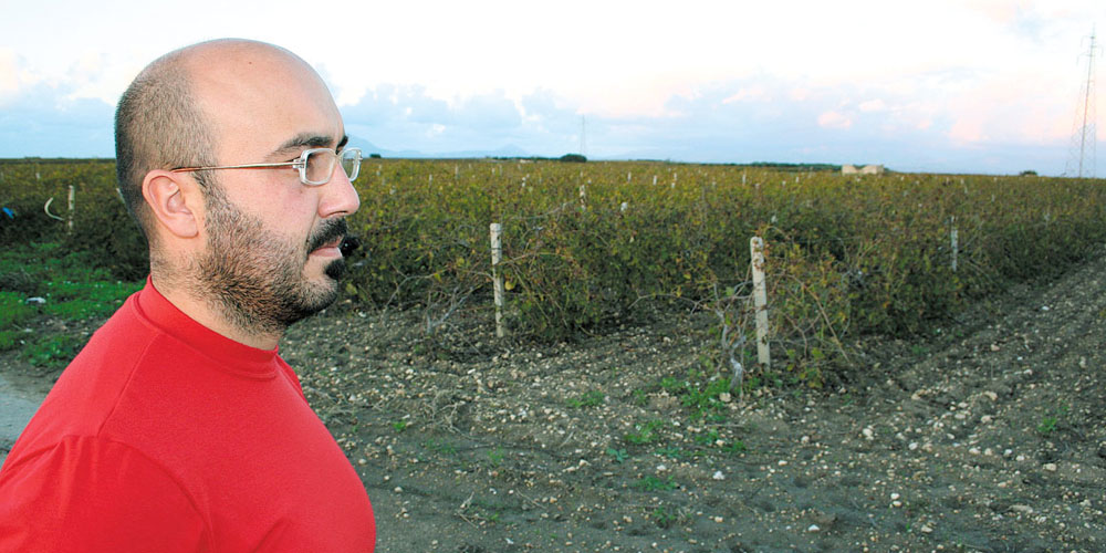 I vini â€œdiversiâ€ di Nino Barraco