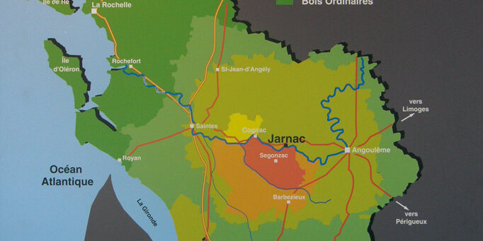 OLYMPUS DIGITAL CAMERA Full-immersion nel Cognac