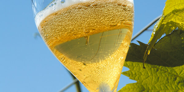  Nel mercatino delle â€œbolleâ€ di Natale ci sono parodie di spumanti. Possiamo almeno credere nel Metodo Classico?