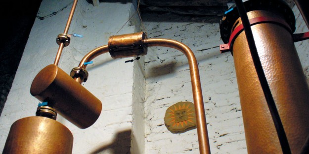 lievitazione.jpg C’è il sole 24 ore dietro Levi