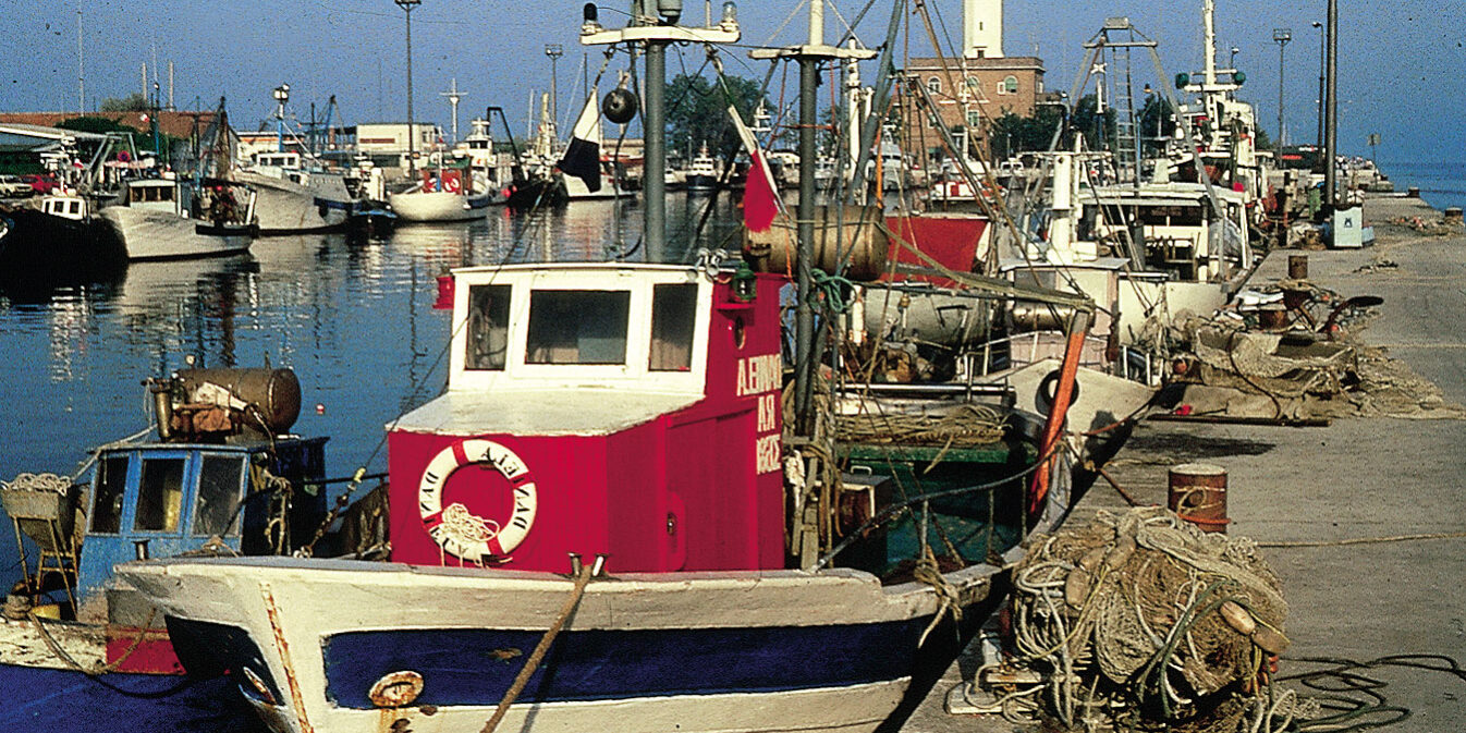  â€œEmilia-Romagna Ã¨ Un Mare di Saporiâ€