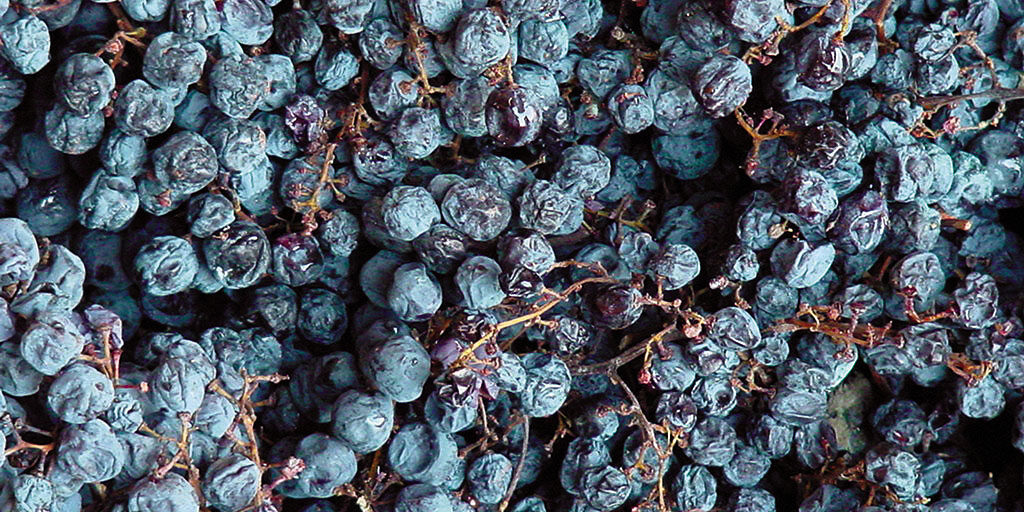 vina-valpoappassita.jpg una ricchezza in esaurimento