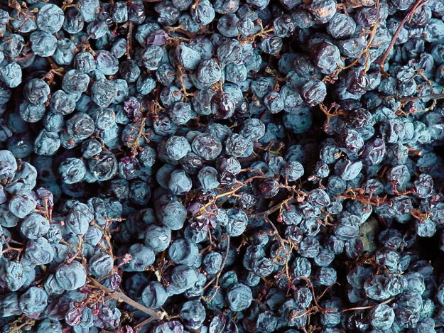  una ricchezza in esaurimento