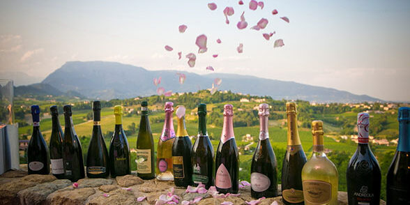 Prosa 2015_petali e bottiglie