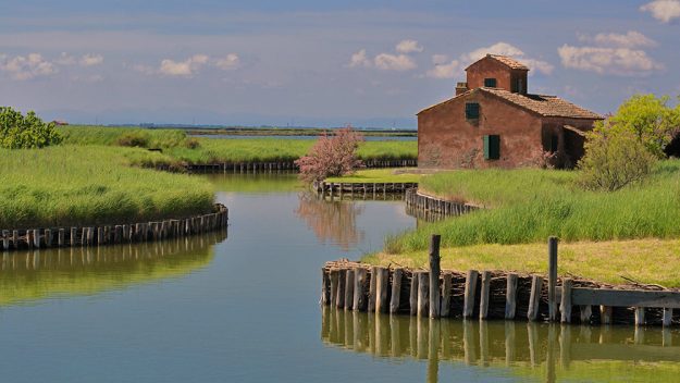 Valli-di-comacchio