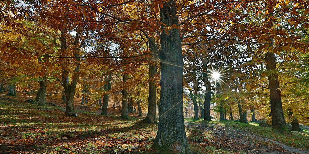 14066334_684973824985645_3325880334989455575_o