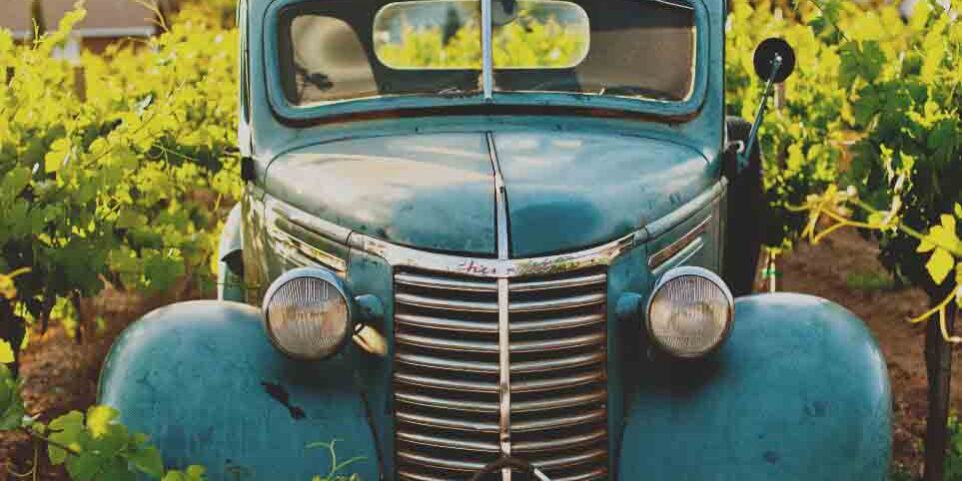 festa-donne-del-vino-motori