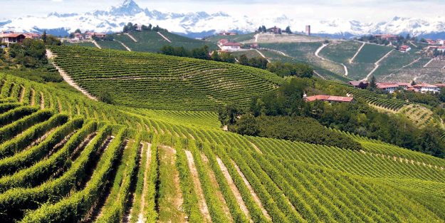 Alta Langa Alta Langa - Viaggio nella nostra Sparkling Italy