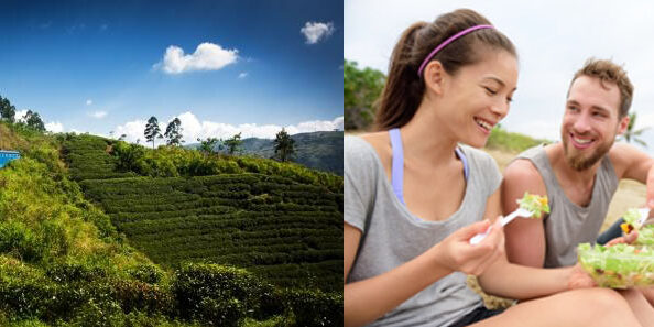 Viaggi di nozze - La luna di miele è green