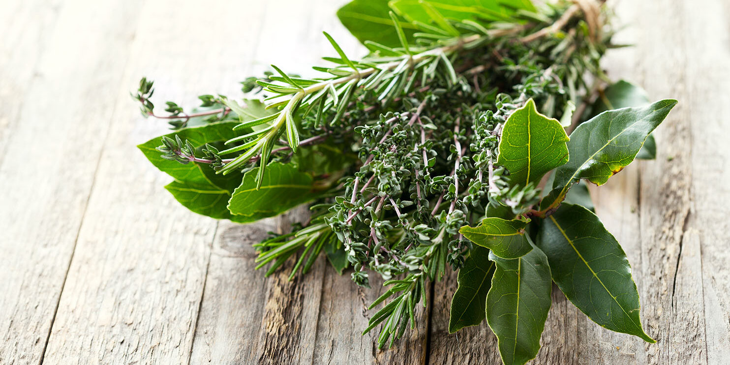 Erbe aromatiche Erbe aromatiche mon amour