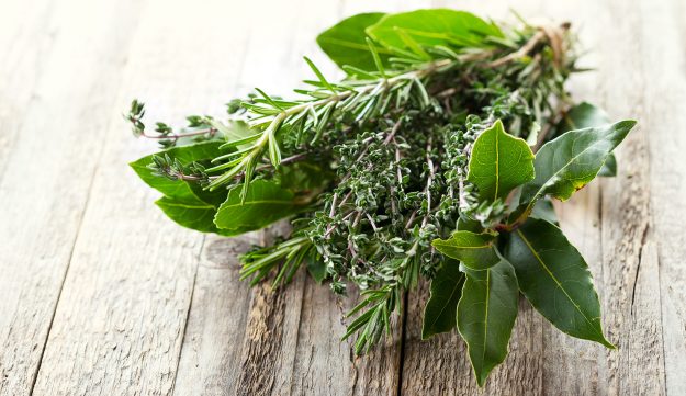 Erbe aromatiche mon amour