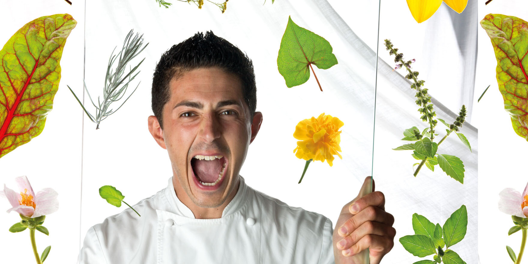 Michelangelo Mammoliti