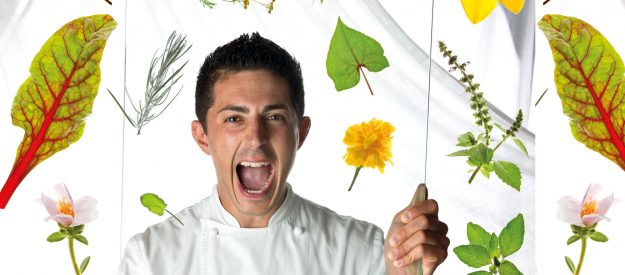 Michelangelo Mammoliti Michelangelo Mammoliti