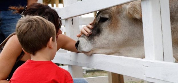 rural-festival-la-parola-alla-biodiversita