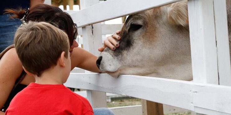 rural-festival-la-parola-alla-biodiversita rural-festival-la-parola-alla-biodiversita
