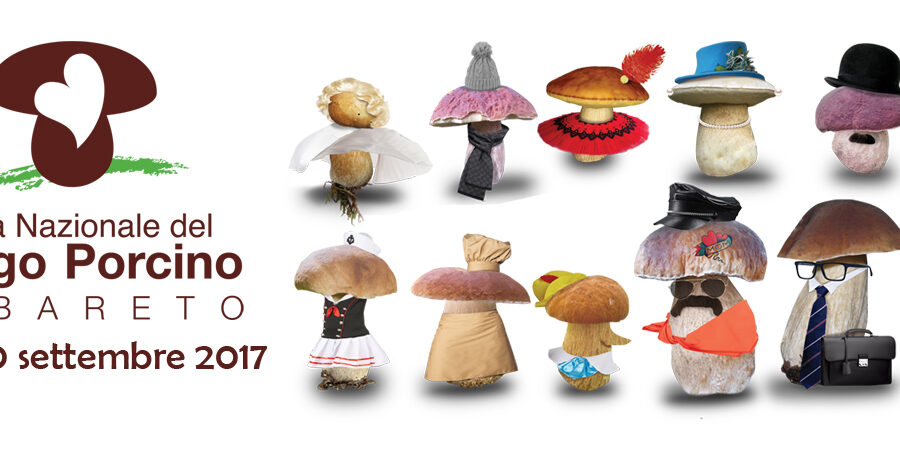 fiera-nazionale-del-fungo-porcino