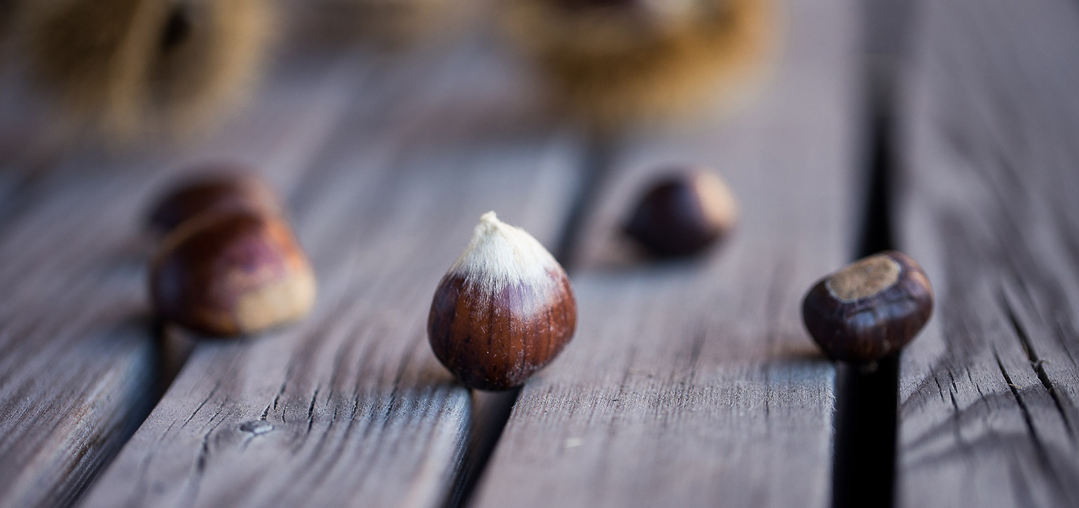 castagne-vigilius-mountain-resort