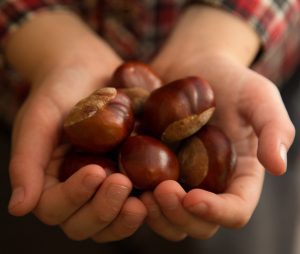 ventesima-edizione-san-zeno-castagne