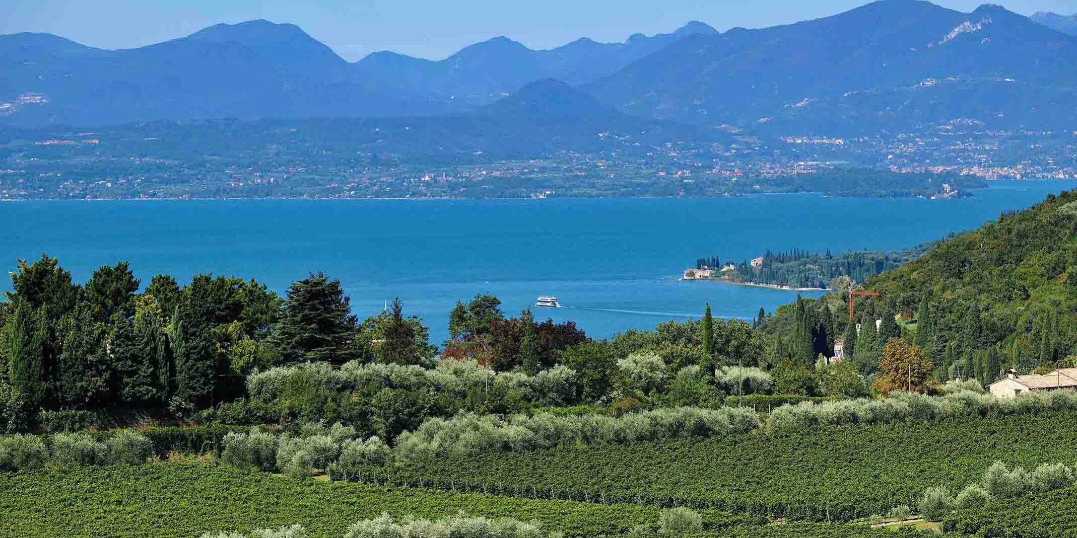 ventesima-edizione-san-zeno-castagne