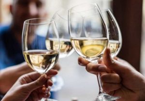 collio-day-23-novembre