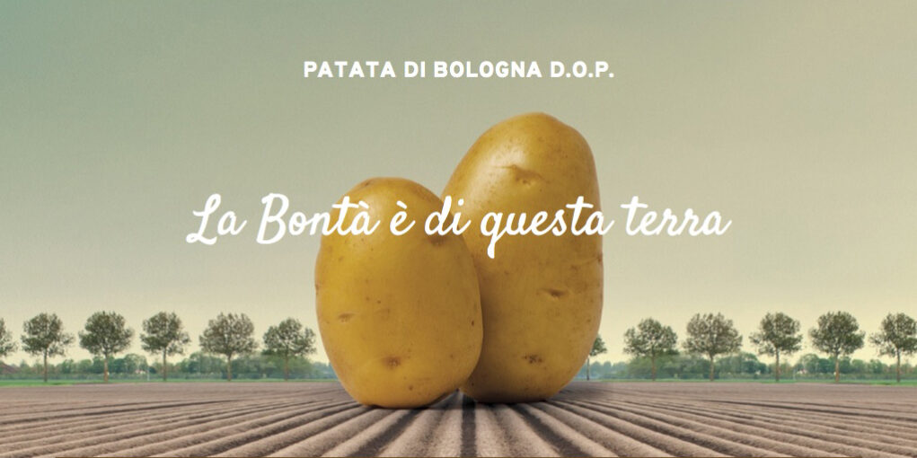 patata1