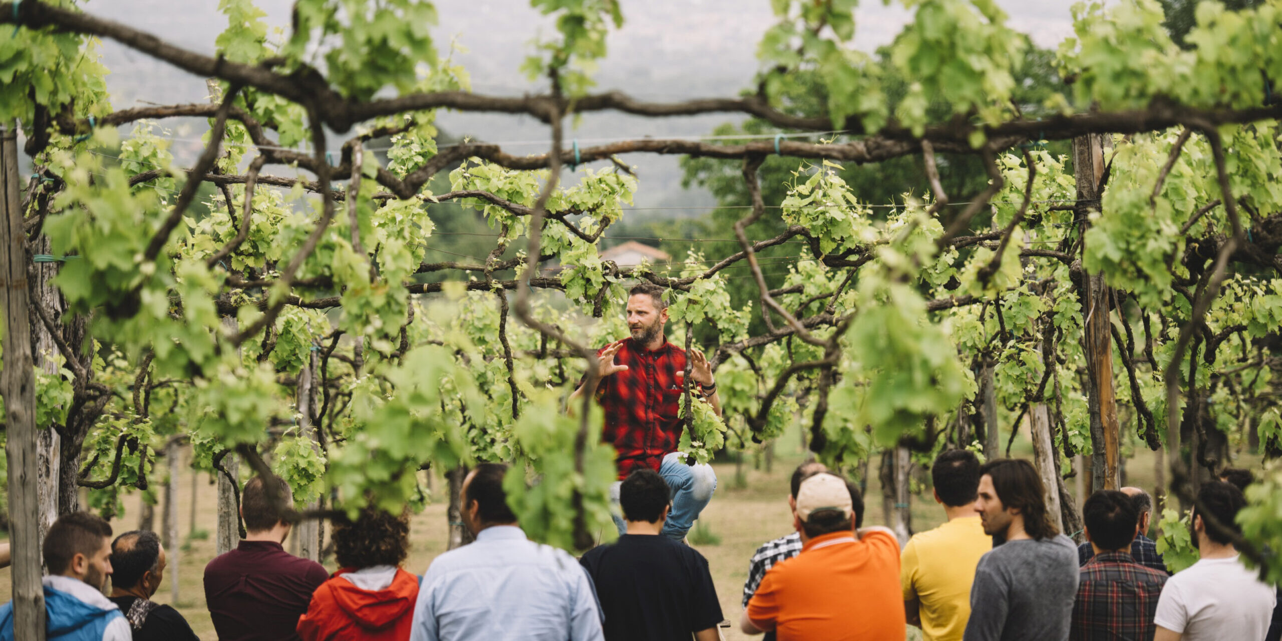 scuola-italiana-potatura-della-vite