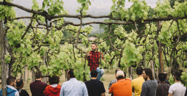 scuola-italiana-potatura-della-vite scuola-italiana-potatura-della-vite